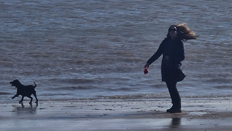 Mindful Awakening Mother And Dog